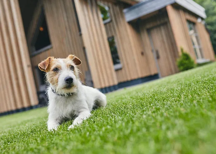 Atempause Sauerland * Schmallenberg